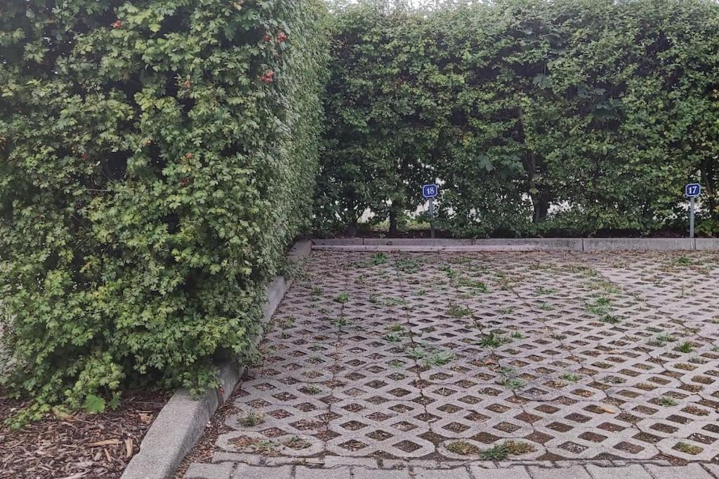 Fewo - Seensucht Am Zwenkauer See Dış mekan fotoğraf